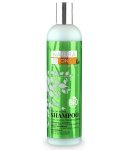 Champu - Color Bomb shampoo, 400ml 1