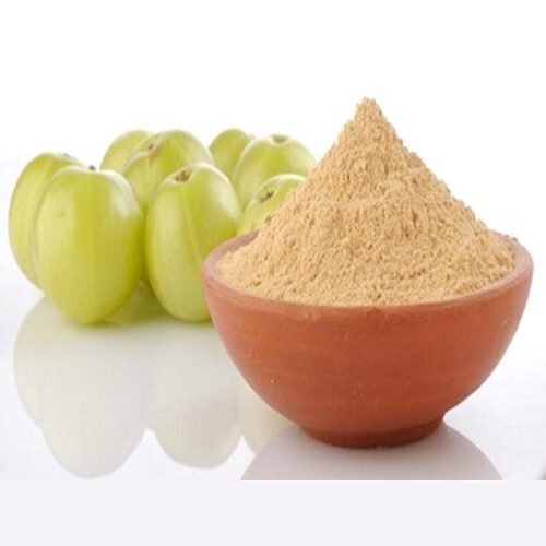 Polvo de Amla Bio 100gr