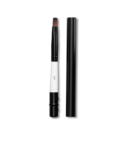 PINCEL DE LABIOS -