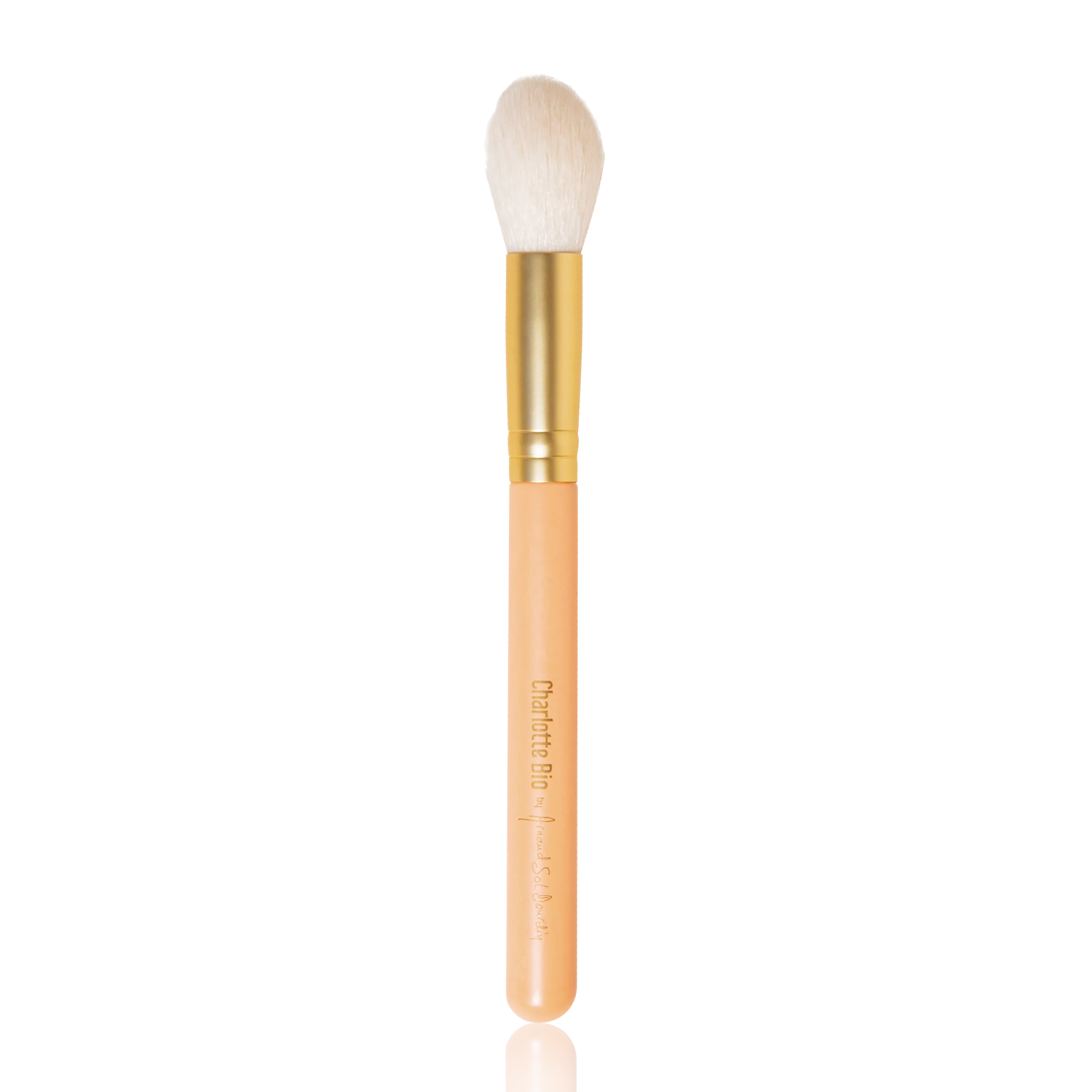 CHB AS BROCHA "HEALTHY GLOW"